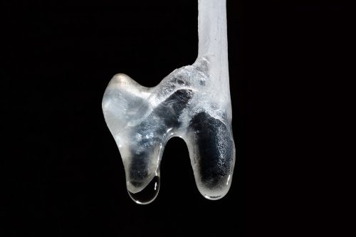 La Combe aux Prêtres - Réseau nord :   excentrique au bout d'une fistuleuse (détail)(SP-19-1970 )